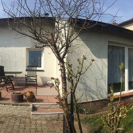 Ferienhaus Auf Usedom Zinnowitz Bagian luar foto